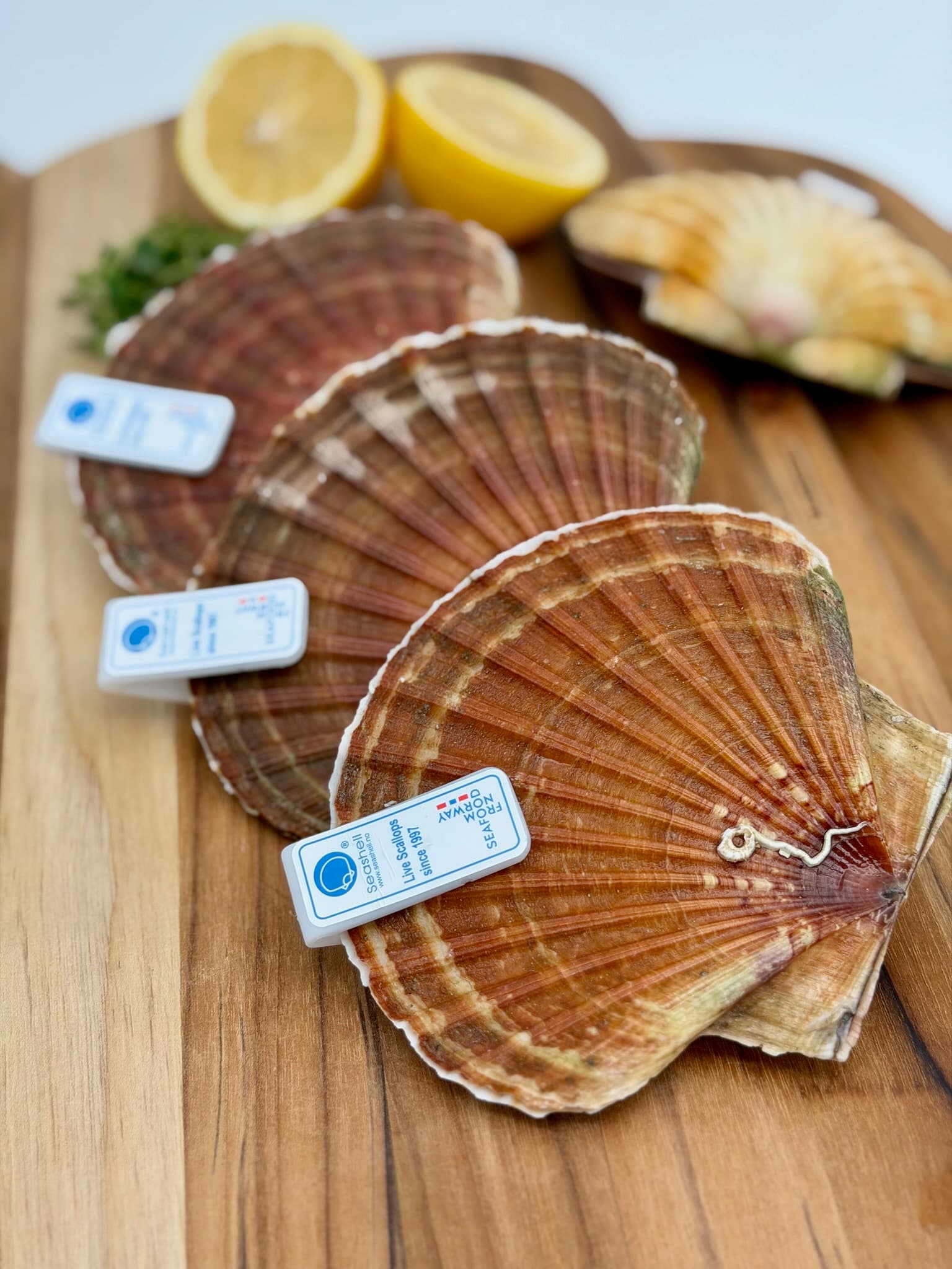 Fersk fisk og sjømat i Ålesund | Fiskedisken på EUROSPAR Moa