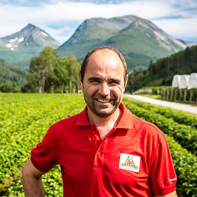 Valldal Grønt AS - bilde 2