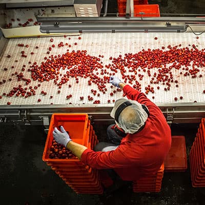 Valldal Grønt AS - bilde 3
